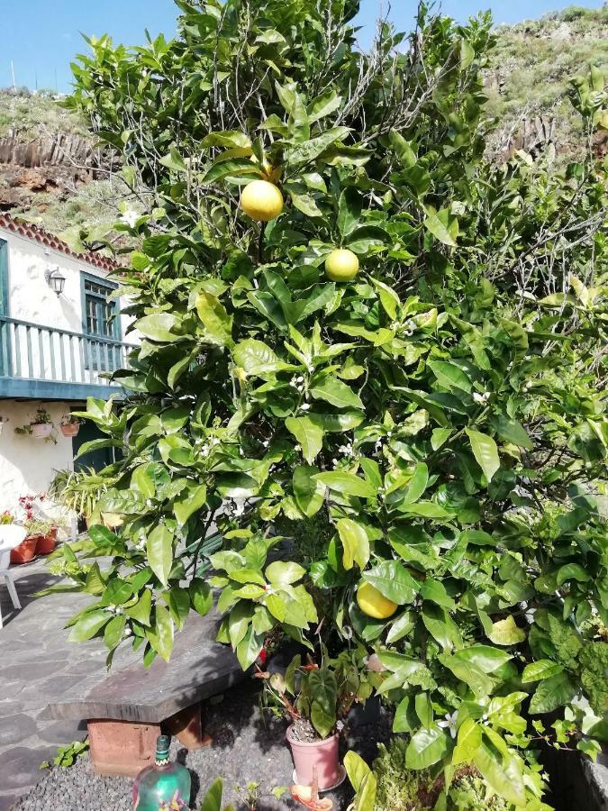 Große Finca 19Jh, Pool, Terrasse, nahe Santa Cruz Santa Cruz de la Palma (Isla de la Palma) Exterior foto