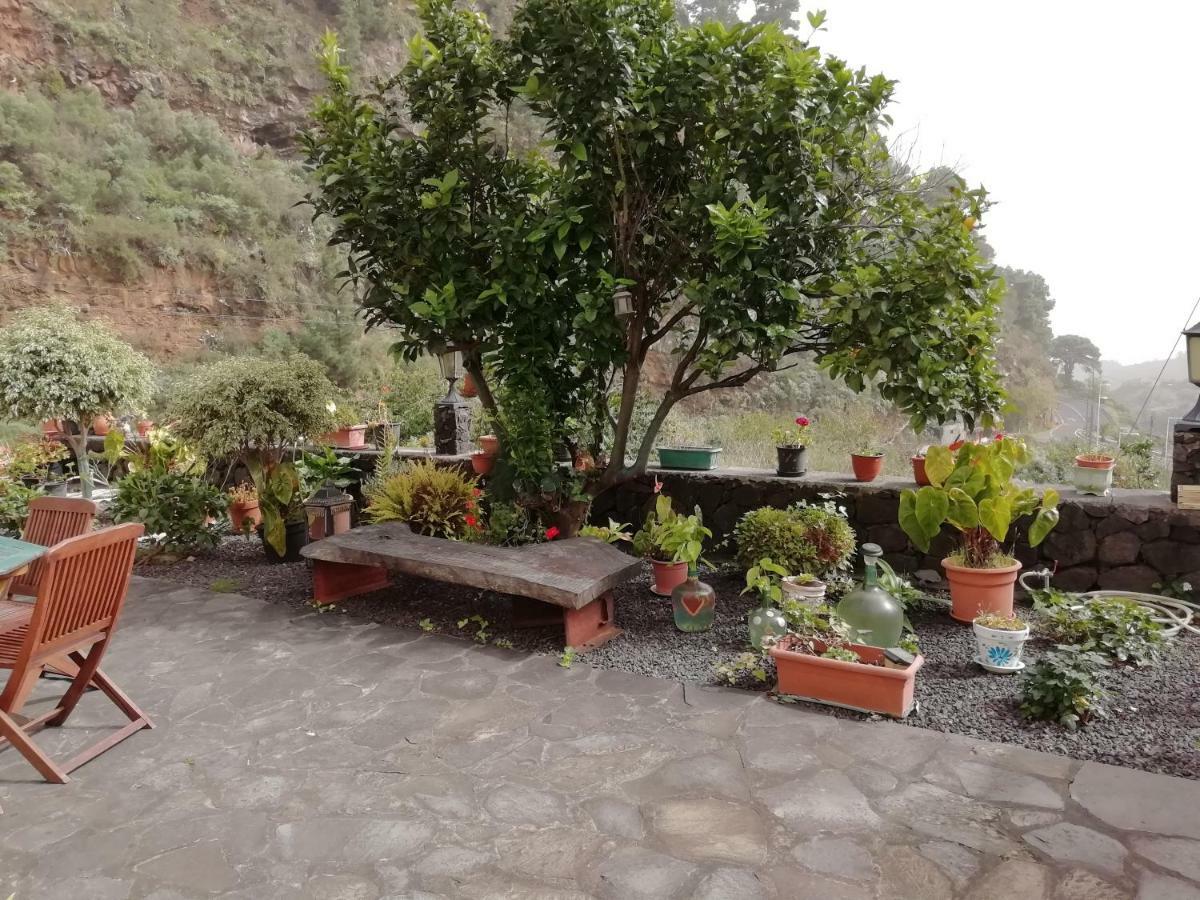 Große Finca 19Jh, Pool, Terrasse, nahe Santa Cruz Santa Cruz de la Palma (Isla de la Palma) Exterior foto