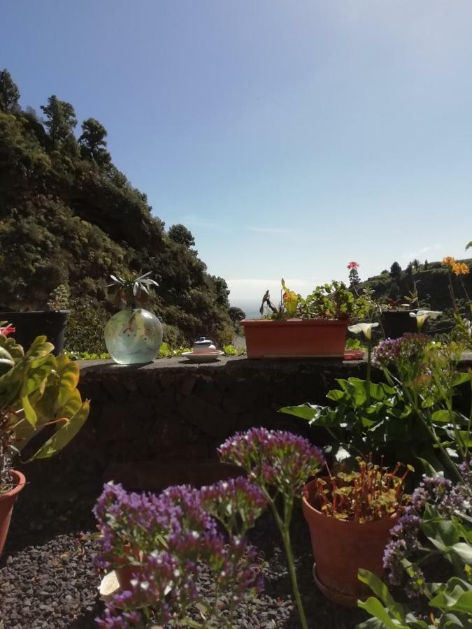 Große Finca 19Jh, Pool, Terrasse, nahe Santa Cruz Santa Cruz de la Palma (Isla de la Palma) Exterior foto